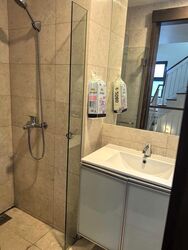 Braddell Road (D13), Terrace #504040651